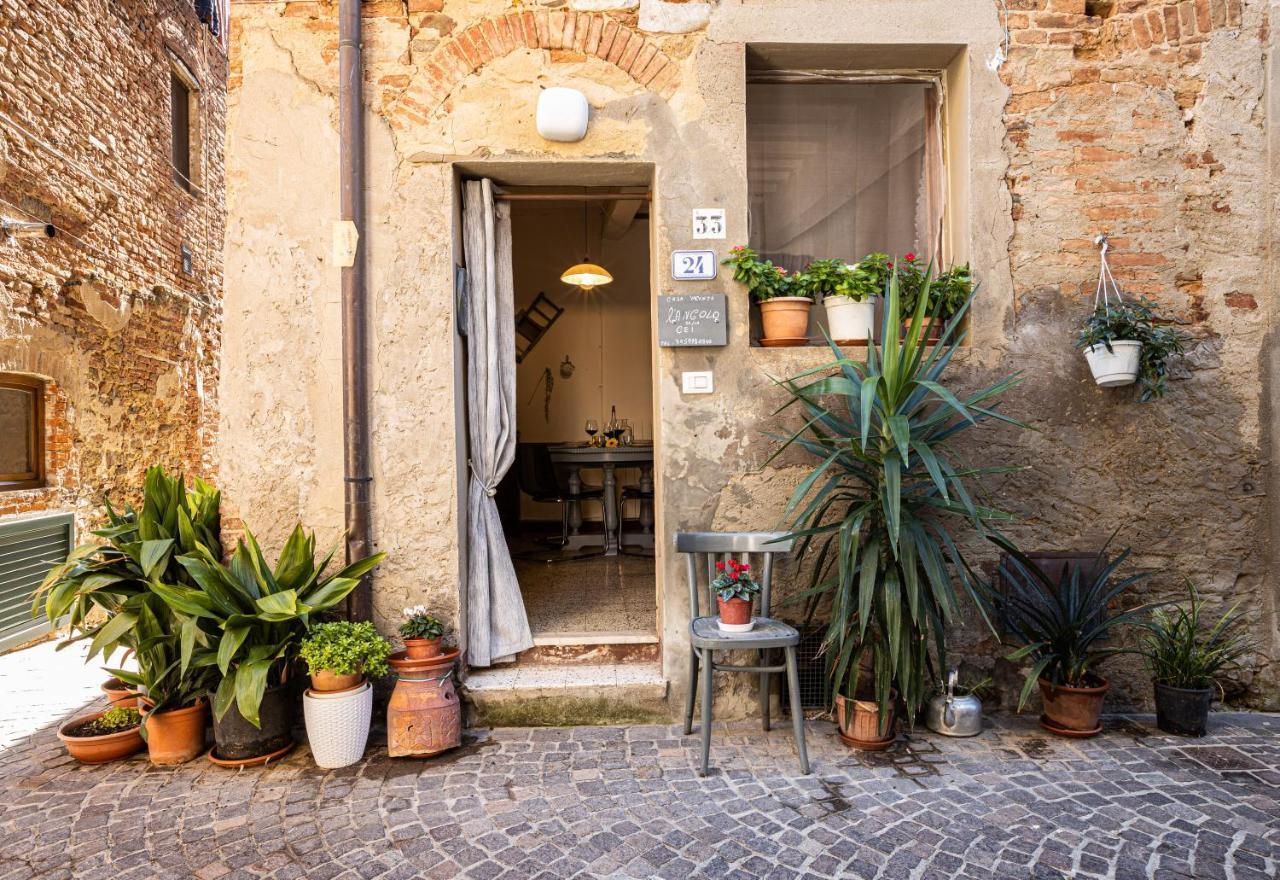 Angolo Della Cei Terricciola Exterior foto