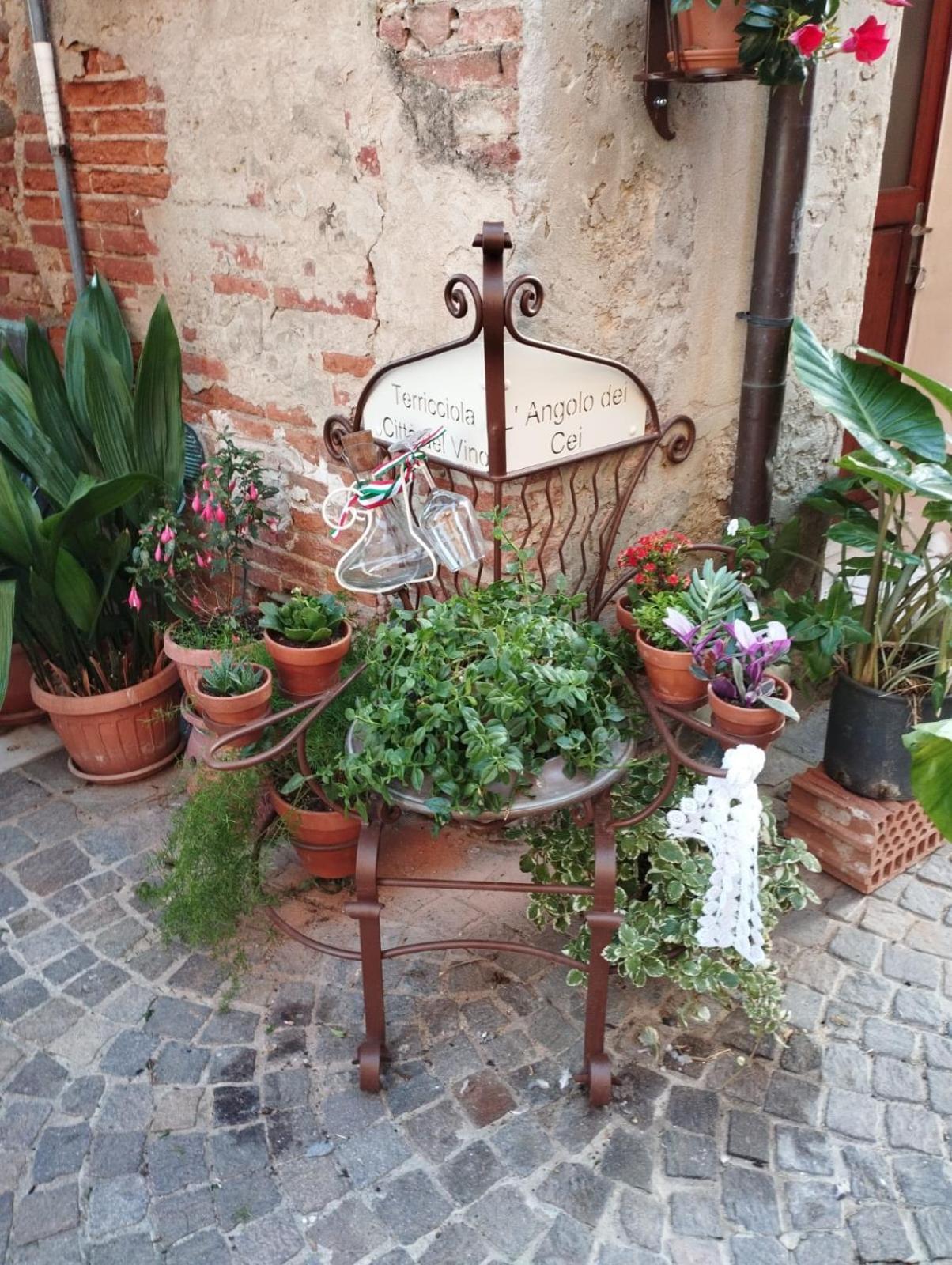 Angolo Della Cei Terricciola Exterior foto